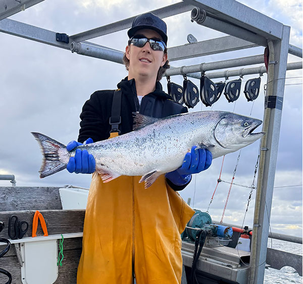 salmon2